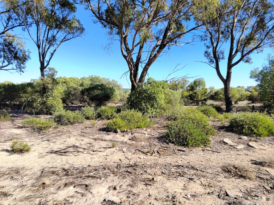 0 Bedroom Property for Sale in Brittania Beach Estate Western Cape